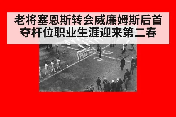老将塞恩斯转会威廉姆斯后首夺杆位职业生涯迎来第二春